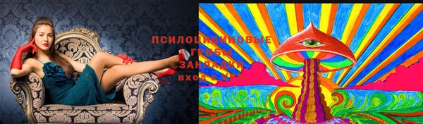 каннабис Алексеевка