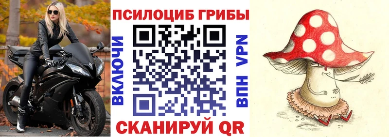 Псилоцибиновые грибы мицелий  Добрянка 